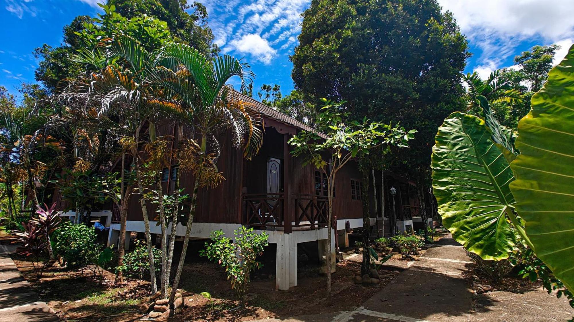 Tekoma Taman Negara 3*
